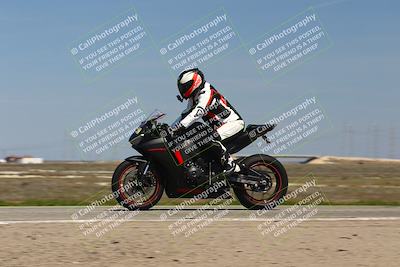 media/Mar-23-2025-TrackDaz (Sun) [[88a7749186]]/C Group/1240pm (Wheelie Bump)/